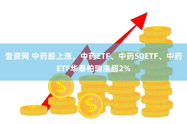 壹资网 中药股上涨，中药ETF、中药50ETF、中药ETF华泰柏瑞涨超2%