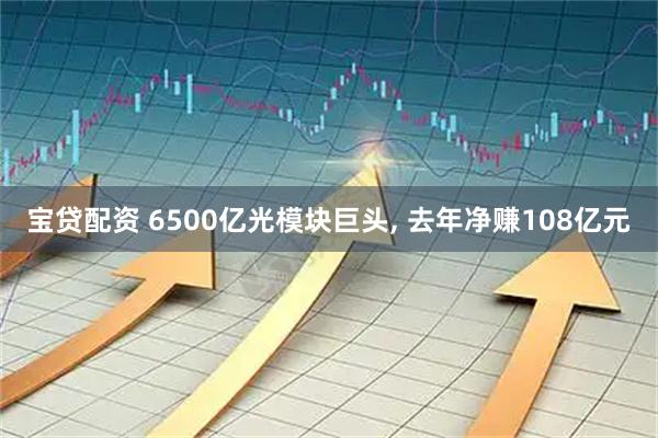 宝贷配资 6500亿光模块巨头, 去年净赚108亿元