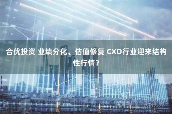 合优投资 业绩分化、估值修复 CXO行业迎来结构性行情？