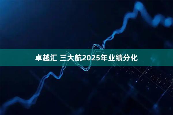卓越汇 三大航2025年业绩分化
